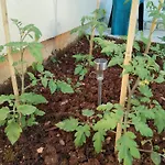 Exodus Appartement Poreč