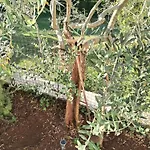 Exodus Apartamento *