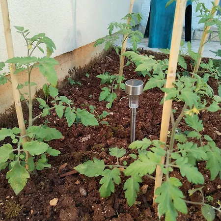 Exodus Apartman Porec