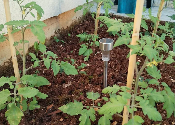 Exodus Apartman Poreč